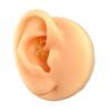 Surgical Steel Ring – Gold - Image 3