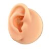 Surgical Steel Ring – Rose Gold - Image 2