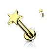 Gold Titanium Jewel