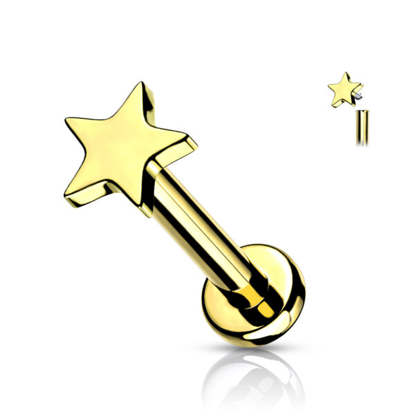 Gold Titanium Jewel