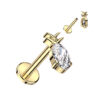Gold Titanium Jewel