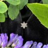 Surgical Steel Jewel Rose Gold - Image 4
