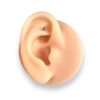 Surgical Steel Jewelry – Silver - Image 4