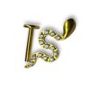 Titanium Jewelry – Gold - Image 4